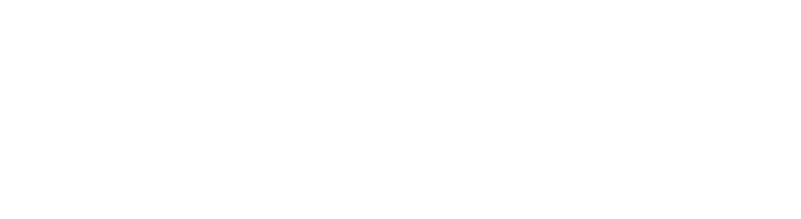 Fiorde Group