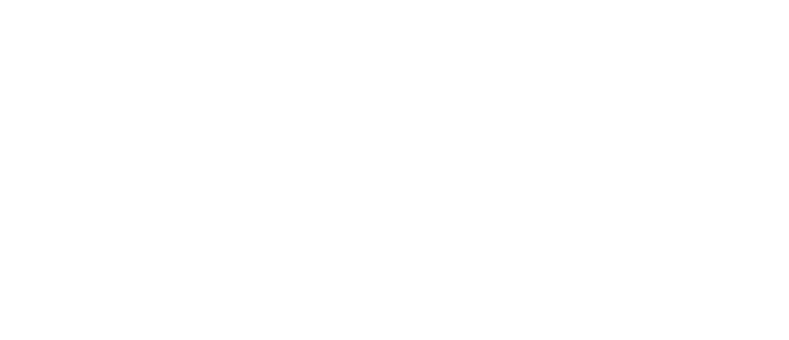 Mäuler Group